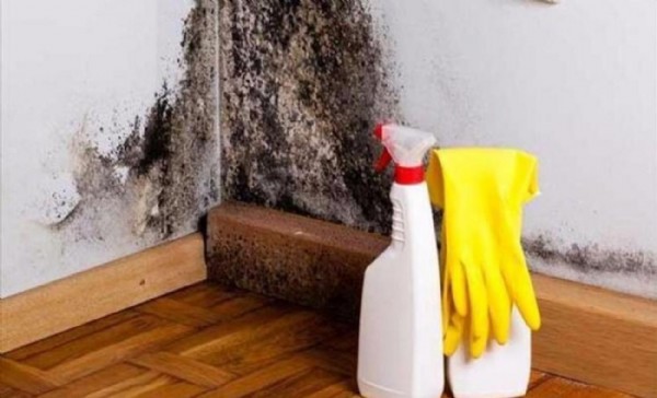 Rutubet Kokusu Nasıl Geçer? Rutubet Kokusu Nasıl Geçer?